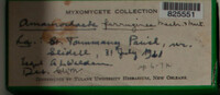 Image Associated With the Occurence
